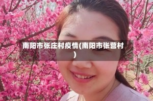 南阳市张庄村疫情(南阳市张营村)