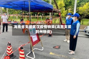 海南省支援武汉疫情物资(海南支援荆州物资)