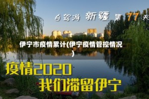 伊宁市疫情累计(伊宁疫情管控情况)