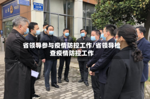 省领导参与疫情防控工作/省领导检查疫情防控工作