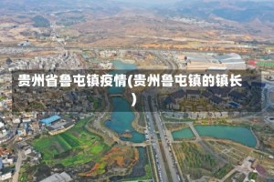 贵州省鲁屯镇疫情(贵州鲁屯镇的镇长)