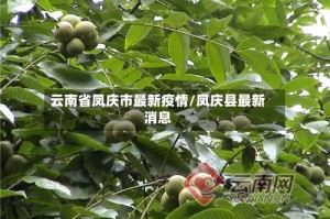 云南省凤庆市最新疫情/凤庆县最新消息