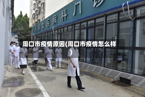 周口市疫情原因(周口市疫情怎么样)-第1张图片