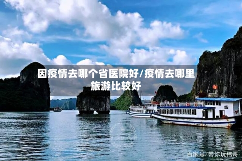 因疫情去哪个省医院好/疫情去哪里旅游比较好-第2张图片