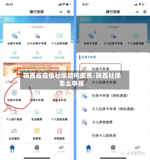 陕西省疫情社保如何缴费/陕西社保怎么申报-第3张图片
