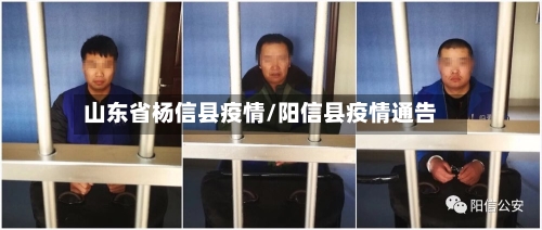 山东省杨信县疫情/阳信县疫情通告-第1张图片
