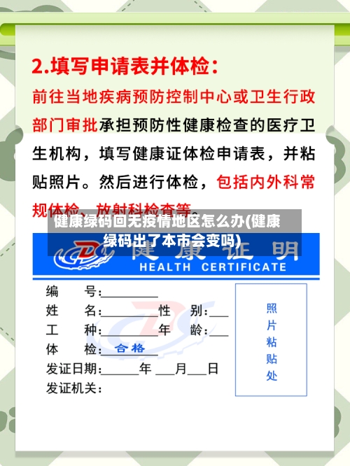 健康绿码回无疫情地区怎么办(健康绿码出了本市会变吗)-第2张图片