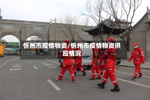 忻州市疫情物资/忻州市疫情物资供应情况-第1张图片