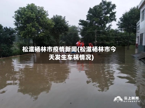 松滋杨林市疫情新闻(松滋杨林市今天发生车祸情况)-第2张图片