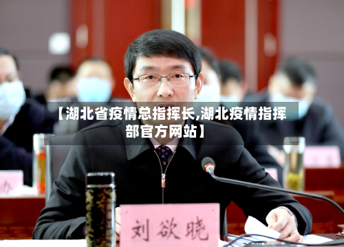 【湖北省疫情总指挥长,湖北疫情指挥部官方网站】-第3张图片