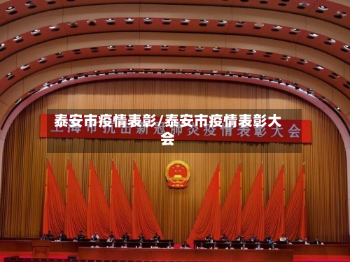 泰安市疫情表彰/泰安市疫情表彰大会-第3张图片