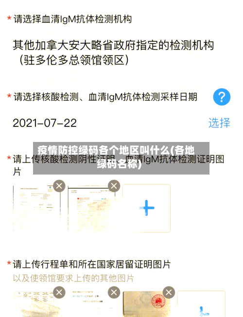 疫情防控绿码各个地区叫什么(各地绿码名称)-第2张图片