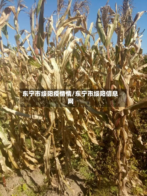 东宁市绥阳疫情情/东宁市绥阳信息网-第1张图片