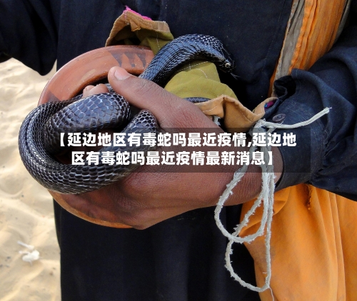 【延边地区有毒蛇吗最近疫情,延边地区有毒蛇吗最近疫情最新消息】-第2张图片