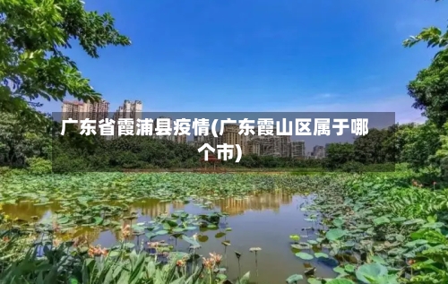 广东省霞浦县疫情(广东霞山区属于哪个市)-第1张图片