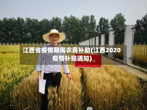 江西省疫情期间农民补助(江西2020疫情补贴通知)-第1张图片