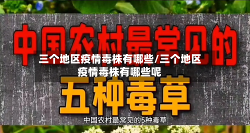 三个地区疫情毒株有哪些/三个地区疫情毒株有哪些呢-第1张图片