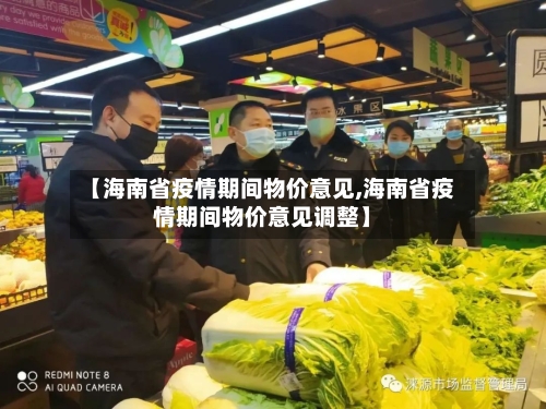 【海南省疫情期间物价意见,海南省疫情期间物价意见调整】-第2张图片