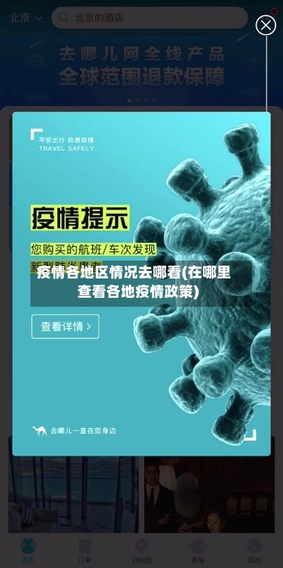 疫情各地区情况去哪看(在哪里查看各地疫情政策)-第3张图片