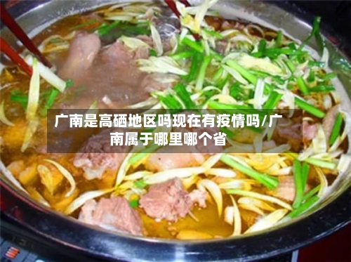 广南是高硒地区吗现在有疫情吗/广南属于哪里哪个省-第2张图片